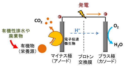 什么是微生物燃料電池？